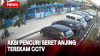 Viral! 2 Pencuri Seret Anjing dengan Sepeda Motor di Singkawang