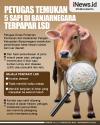 Infografis Petugas Temukan 5 Sapi di Banjarnegara Terpapar LSD