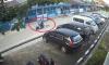 Video Viral Pengendara Motor Seret Anjing di Singkawang, Pemilik Lapor Polisi