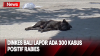 Dinkes Bali Laporkan 300 Kasus Positif Rabies, 4 Korban Meninggal Dunia 