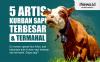 Infografis 5 Artis Kurban Sapi Terbesar dan Termahal