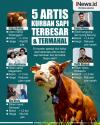 Infografis 5 Artis Kurban Sapi Terbesar dan Termahal