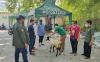Grab Indonesia Sumbang Sapi Seberat 1 Ton dan Ratusan Kambing - Bagian 2