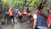 Hujan Deras di Bali, Bencana Alam Pohon Tumbang dan Tanah Longsor Landa Gianyar