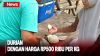 Penasaran, Mencoba Durian Unik Bernama Tai Babi dari Bangka Barat 