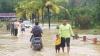Banjir di Kolaka Timur akibat Sungai Mowewe Meluap, Ratusan Hektare Sawah Terendam