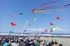 Jogja International Kite Festival, Ratusan Layang-Layang Hiasi Pantai Parangkusumo Bantul