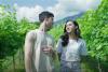 Ada Cinta di Kebun Anggur yang Mempesona, Saksikan Episode Perdana TV Love Cinema di Vision+