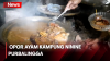  Opor Ayam Kampung Ninine, Kuliner Legendaris Purbalingga Sejak 1987 