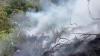 Lahan Hutan Cibuni Bandung Terbakar, 15 Petugas Damkar Diterjunkan