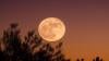 Malam Ini Ada Supermoon 5 November 2025, Catat Jamnya!