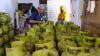 Cara Cari Pangkalan Elpiji 3 Kg Terdekat secara Online, Simak Langkahnya