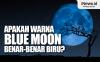 Infografis Apakah Warna  Blue Moon  Benar-Benar Biru?