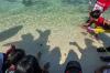 Kowani Peringati Hari Konservasi Alam Nasional di Kepulauan Seribu - Bagian 5