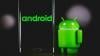 Ikuti Apple, Google Ingin Bikin Integrasi Lebih Dalam untuk Android