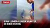 Viral! Warga Sampang Heboh dengan Munculnya Ikan Lumba-Lumba di Bibir Pantai