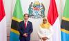 Bertemu Presiden Tanzania, Jokowi Sebut RI Mau Tingkatkan Investasi di Blok Mnazi Bay 