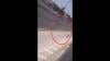 Viral Video 3 Pelajar SD Nekat Joget di Tengah Tol Jakarta-Cikampek Karawang