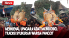 Upacara Adat Mondosio, Tradisi Syukuran Warga Poncot dengan Berebut Ayam  