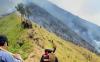 Hutan di Gunung Arjuno Terbakar, Pendakian Ditutup untuk Mudahkan Pemadaman