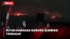 Awas! Hutan di Kawasan Gunung Sumbing Terbakar, Penyebab Belum Diketahui