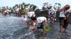 Mengenal Upacara Melasti di Bali, Ritual Penyucian Jelang Hari Raya Nyepi