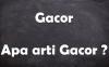Arti Kata Gacor yang Jadi Bahasa Gaul Kekinian, Ternyata Beragam Maknanya! 