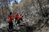 Kebakaran di Savana Bukit Teletubbies Gunung Bromo Sudah Padam