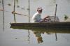Ikan Rinuak Hewan Endemik Danau Maninjau Hilang Sejak Kematian Massal  - Bagian 1