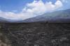 Wisata Gunung Bromo Dibuka, Pengunjung Disuguhkan Bukit Teletubbies yang Hangus - Bagian 1