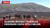 Dampak Kebakaran Gunung Bromo 504 Hektare Lahan Terbakar, Kerugian Capai Rp5,4 Miliar