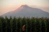 Perubahan Kubah Lava Gunung Merapi - Bagian 2