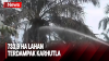 Karhutla di Jambi Hanguskan 733,9 Ha Lahan 