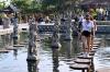 Tirta Gangga Bali, Wisata Unggulan Wilayah Timur Pulau Dewata - Bagian 2