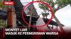 Monyet Liar Ekor Panjang Masuk ke Permukiman Warga di Medan