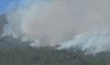30 Hektare Lahan di Gunung Lawu Terbakar, Bupati Ngawi Tetapkan Status Tanggap Darurat