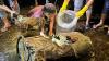 Drum Berisi Kerangka Manusia Dicor di Sungai Aceh Besar Ada Sejak 2011