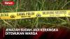 Geger, Warga Temukan Jenazah Sudah Jadi Kerangka di Banyuasin saat Bersihkan Parit