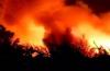 Bukit Gathak Terbakar, Warga Ponjong Gunungkidul Kalang Kabut Padamkam Api