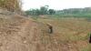 Waduk Saguling KBB Kering saat Kemarau, Disulap Warga Jadi Lahan Pertanian