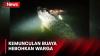Warga Pesisir Teluk Bandar Lampung Diteror Penampakan Buaya di Kali