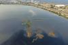 El Nino, Air Waduk Pluit Menyusut - Bagian 2