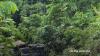 Kecelakaan di Jayapura, Truk Muatan Pasir Terjun ke Jurang, 2 Orang Tewas