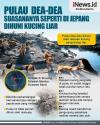 Infografis Pulau Dea-Dea Suasananya seperti di Jepang Dihuni Kucing Liar