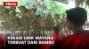 Peringati Hari Wayang, Pria Ini Kreasikan Karya dari Anyaman Bambu