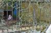 Kondisi Kebun Binatang Medan Zoo Terbengkalai, Nasib Hewan Dilindungi Terancam - Bagian 2