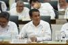Mentan Akan Tindak Tegas Mafia Impor Pakan Ternak
