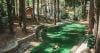 Kampung Unik di Semarang Punya Kolam Renang Alami di Hutan Pinus Suasananya Sejuk