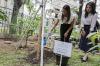 Jelang HUT MNC Group, Liliana Tanoesoedibjo Tanam Pohon Tabebuya di RPTRA Kebon Sirih - Bagian 3