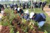 100 Relawan Tanam Ratusan Pohon Salix dan Bugenvil di Taman Waduk Lebak Bulus - Bagian 5